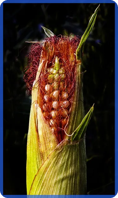 2025실업급여 예상액과 계산법 알아보기