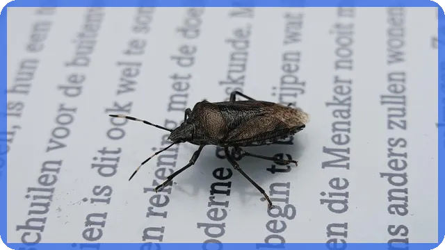 간편장부로 종합소득세 신고하는 법은?