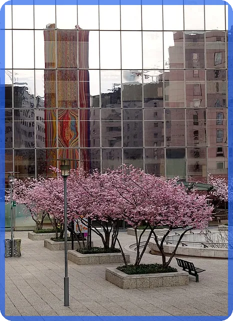 리튬인산철관련주 배터리 시장 성장 전망은 무엇인가