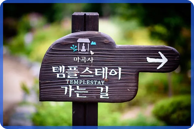 산전후휴가 완전 정리 2025 최신 가이드
