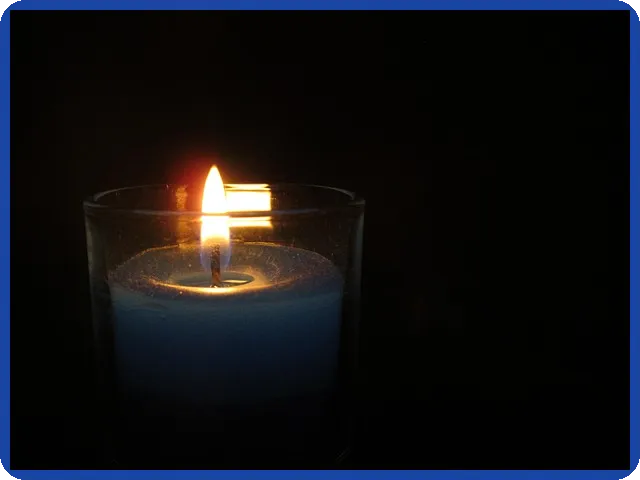 제일비싼주식 글로벌 최고가와 국내 순위 분석