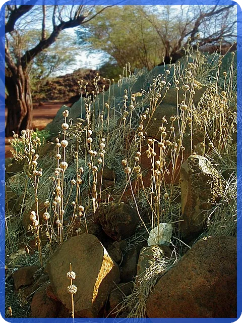 신한할부금융으로 차량 구매와 대출 전략 완전 정복하기