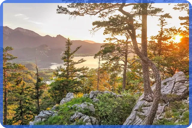 전세대출이자계산기 활용으로 안전한 재테크 전략 세우기