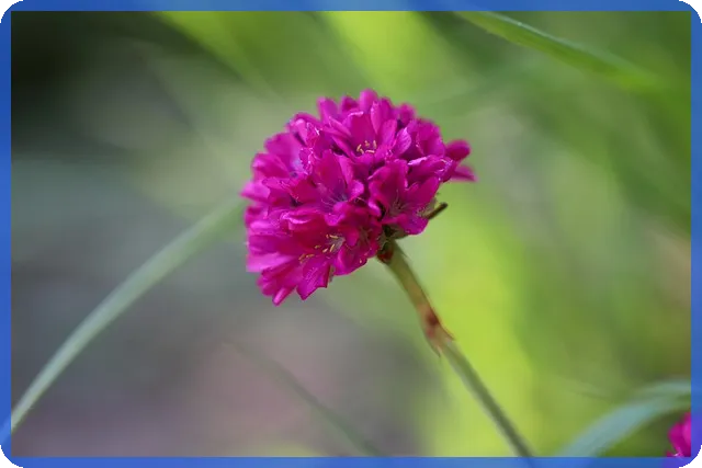 1억적금으로 빠르게 부자 되기 전략 알아보기