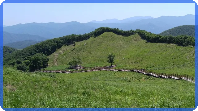 삼성화재대출 조건 간편 확인하기 궁금하넷