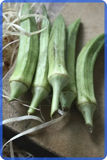 순천대출 활용법 완전정복 강력 추천