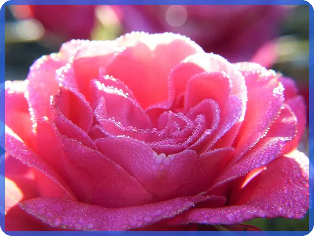 카카오톡단체문자 보내기 완전 정리 및 활용법