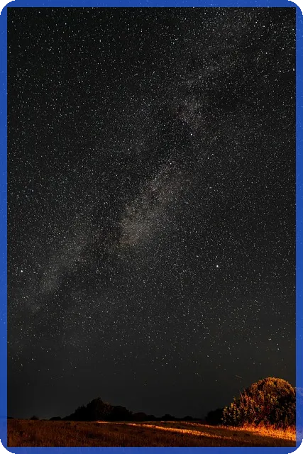 현재상영영화 3월 3주 신작 추천과 전망